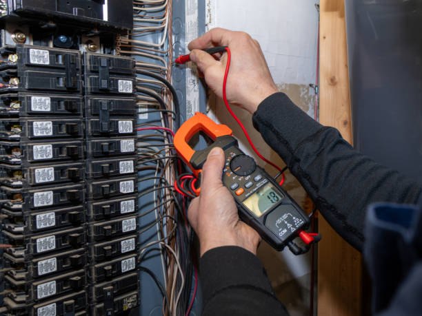 Best Ceiling Fan Installation Electrician  in Taylor, AL